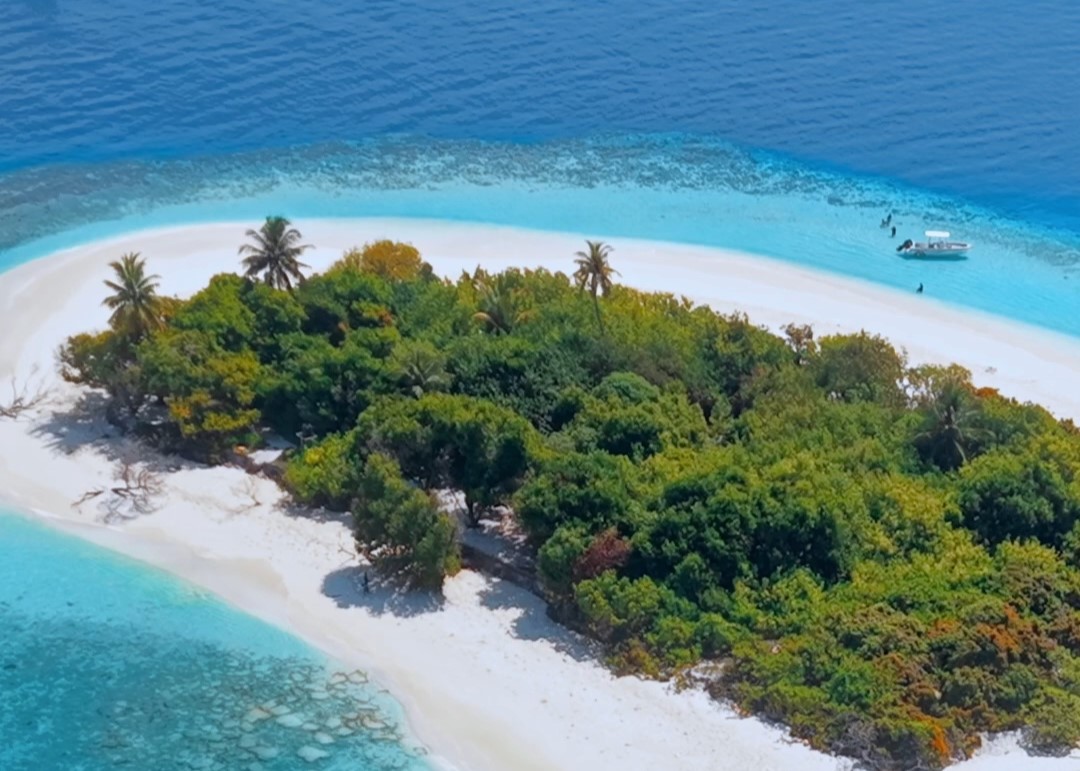 Desert island paradise