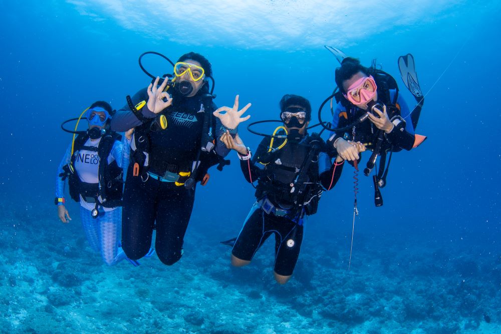 Wreck and reef diving