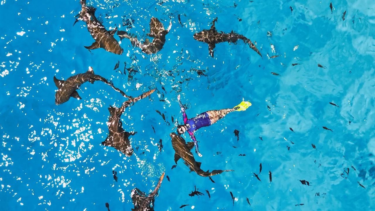 Coral Garden Snorkeling